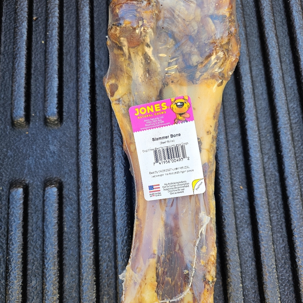 Slammer Bone Dog NEW